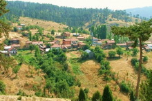 Camili Yayla (Müzeyyen-Bozoluk) Köyü