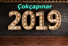 2019 Yılı