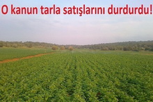 Komşumuza Sormadan Tarlamızı Satamıyoruz.