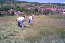 Şenlik Alanı Hazırlanacak