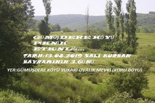 GÜMÜŞDERE KÖYLÜLERİ KÖY PİKNİĞİ DÜZENLİYOR
