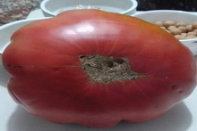 Bir Kilogramdan Fazla