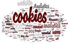 Sitemizde Çerez (Persistent Cookies) Kullanılmamaktadır.