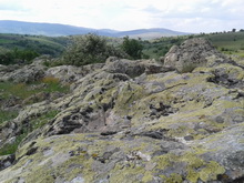 Taşarası-Taş Kınası - gürcan gönderdi.