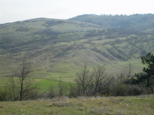 Taşlık-Babadüzü - gürcan gönderdi.