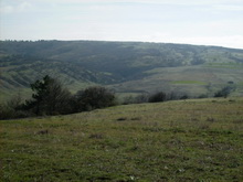 Köyderesi - gürcan gönderdi.