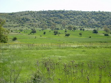 Kirazpınarı Yamacı - gürcan gönderdi.