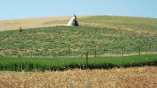 Bostan kolibası - gürcan gönderdi.