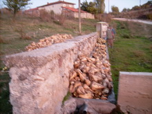 Pancar yıkama - gürcan gönderdi.